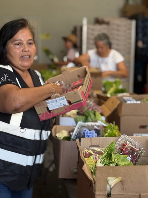 Woman packing fresh produce into cardboard boxes at a food distribution or charity event with others working in the background